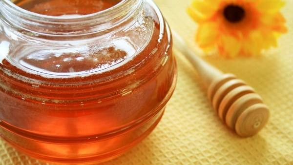Польза и вред эспарцетового мёда с фото