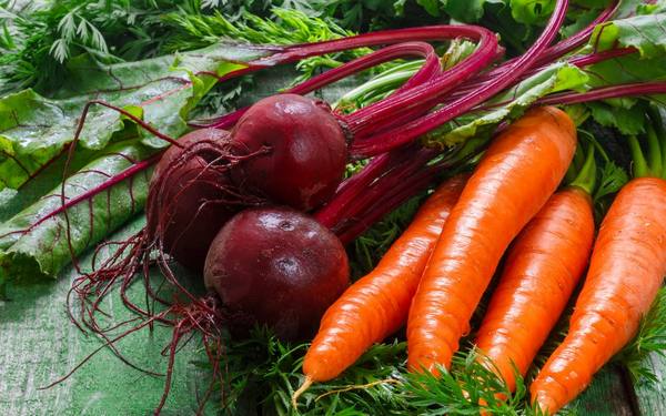 Как правильно хранить свеклу и морковь? с фото