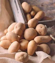 Как сохранить картофель в квартире - фото