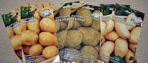 Как вырастить картофель из семян с фото