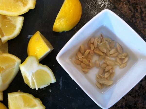 Как вырастить лимон из косточки в домашних условиях - фото