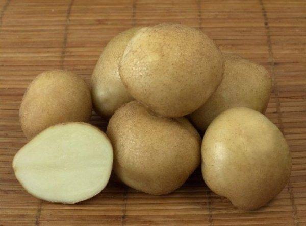 Характеристика и описание сорта картофеля голубизна - фото