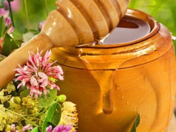 Полезные свойства и противопоказания клеверного мёда - фото