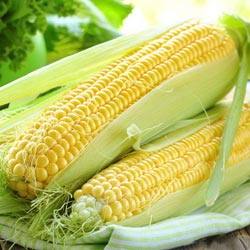 Кукуруза: особенности выращивания в открытом грунте - фото