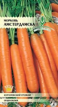 Лучшие сорта моркови с фото и описанием - фото