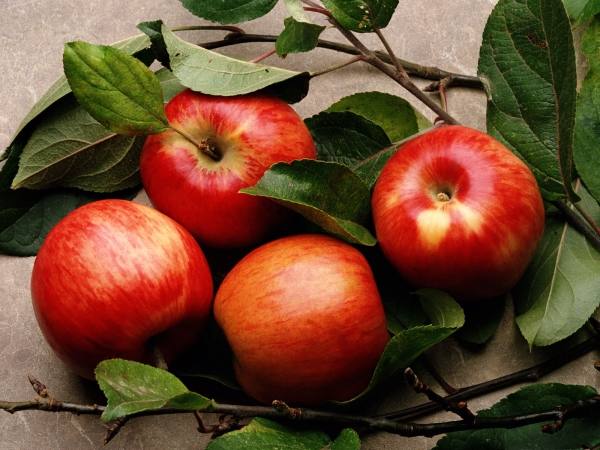 Какова польза яблок и есть ли вред для организма человека? - фото