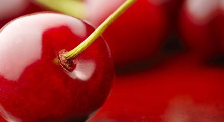 Применение ростовых веществ для предупреждения краснухи у вишни - фото