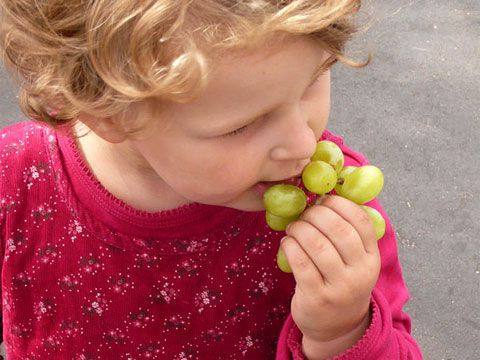 С какого возраста можно вводить в рацион ребенка виноград - фото