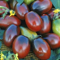Удивительный томат под названием Черный мавр - фото