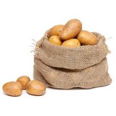 Выращивание картофеля: как удобрять по сезону, нормы внесения подкормок, вредители с фото