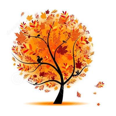 Осенняя подкормка растений: обзор удобрений, рекомендации по внесению с фото