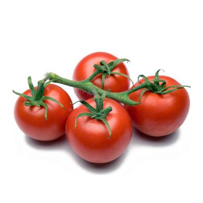 Выращивание томатов: рассада, посадка, пересадка - в теплице и грунте с фото
