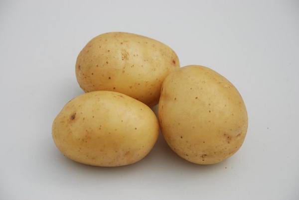 Как выращивать картошку по голландской технологии?